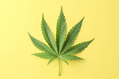 Cannabis Leaf clipart