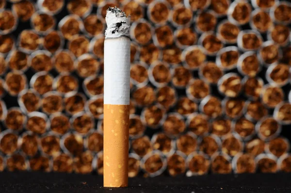 Dohányipar — Stock Fotó