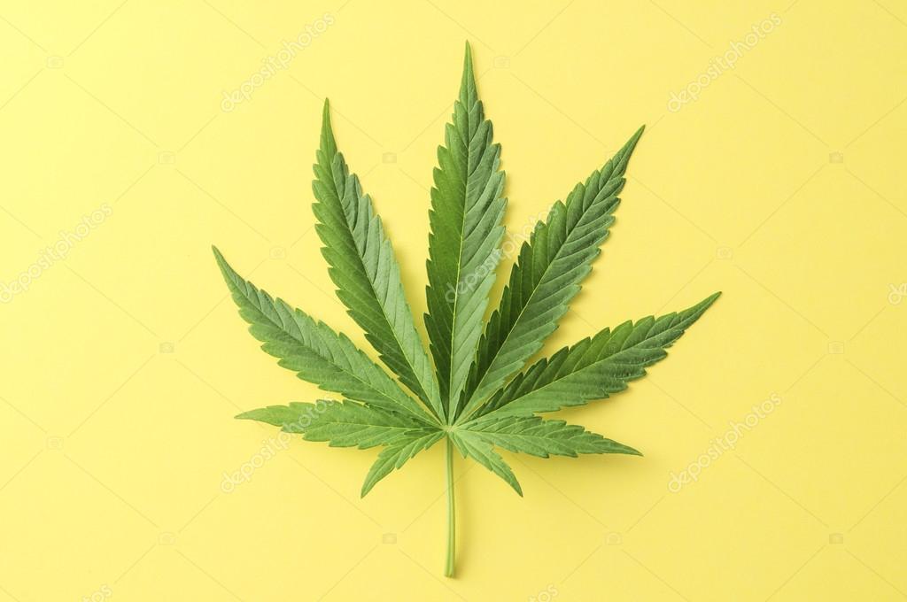 Листья марихуаны картинки фото травки