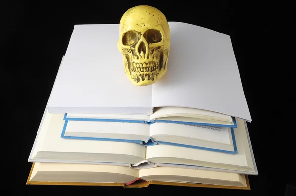 Empty Book — Stock Photo, Image