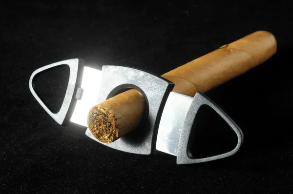 Cuban Brown Havan Cigar — Stock Photo, Image