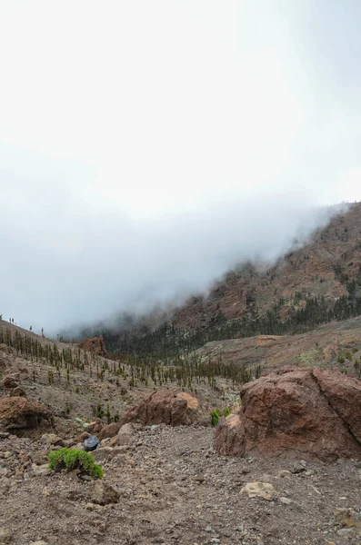 Journée nuageuse dans le parc national El Teide — Photo