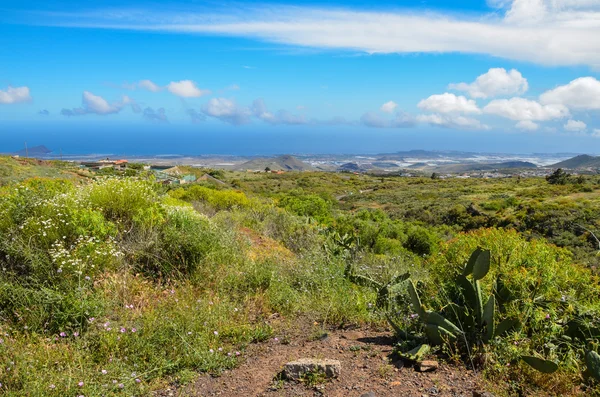 Paisagem Primavera — Fotografia de Stock