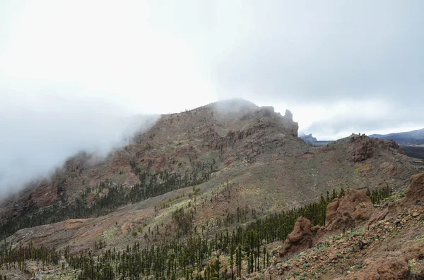 Zamračený den v národním parku el teide — Stock fotografie