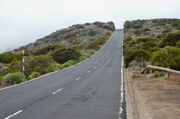 Vägen på mulen dag i el teide national park — Stockfoto