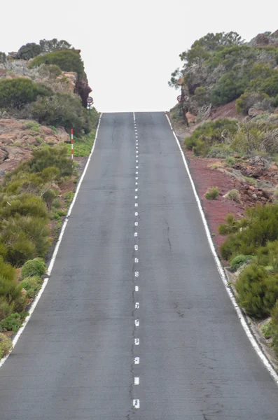 Weg op bewolkte dag in nationaal park el teide — Stockfoto