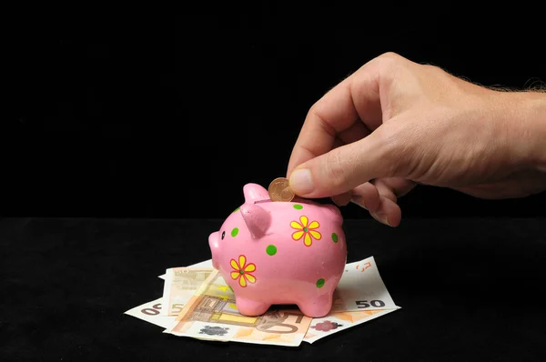 Pink Pig Piggy Bank — Stock Photo, Image