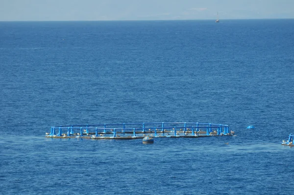 Allevamento di pesci nell'Oceano Atlantico — Foto Stock