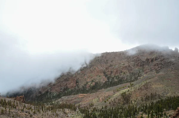 Día nublado en el Parque Nacional El Teide —  Fotos de Stock