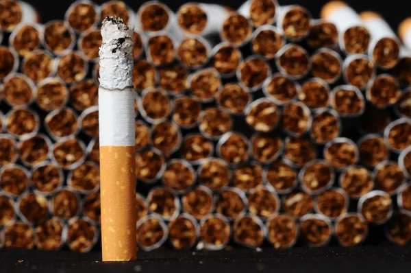 Tabákový průmysl — Stock fotografie