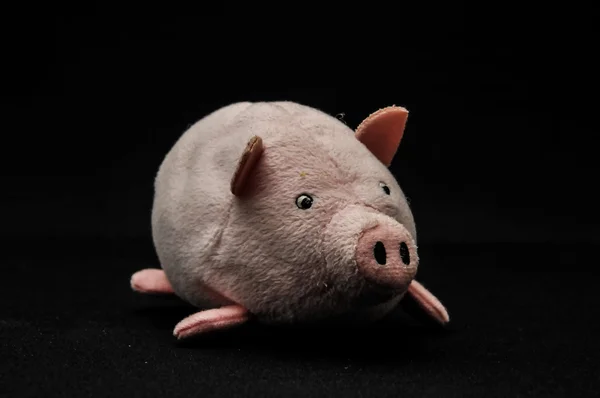 Плюшевая свинья — стоковое фото
