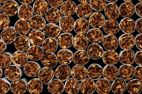 Industria del tabacco — Foto Stock