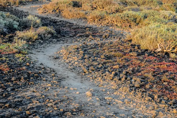 Chemin dans le désert volcanique — Photo