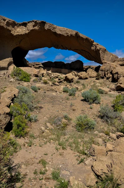 Dry landscape — Stock Photo, Image