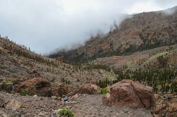 Molnig dag i el teide national park — Stockfoto