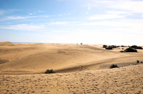 Африканский Ландшафт Пустыни Песчаной Дюны Острове Гран Канария Испания — стоковое фото