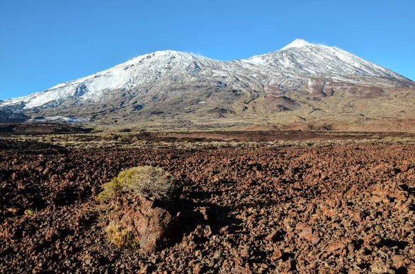 Wüstenlandschaft Nationalpark Volcan Teide Teneriffa Kanarische Insel Spanien — Stockfoto
