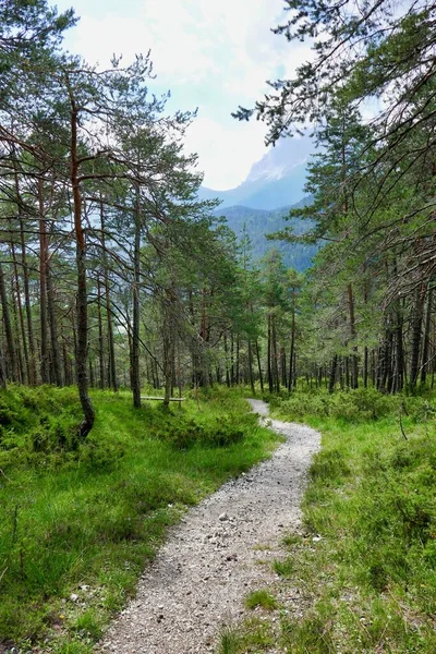 Route Dans Forêt Photo Arrière Plan Image Numérique — Photo