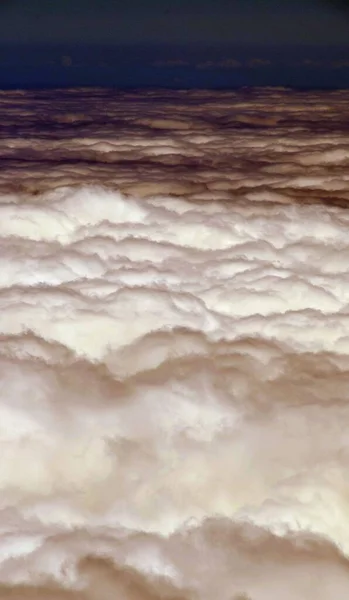 Nubes Altas Sobre Árboles Conos Pino Bosque Isla Tenerife — Foto de Stock