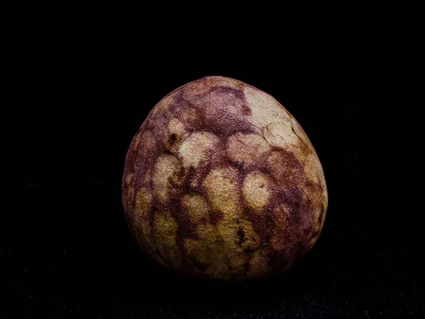 Fris Groen Bruin Rijpe Cherimoya Tropisch Fruit — Stockfoto