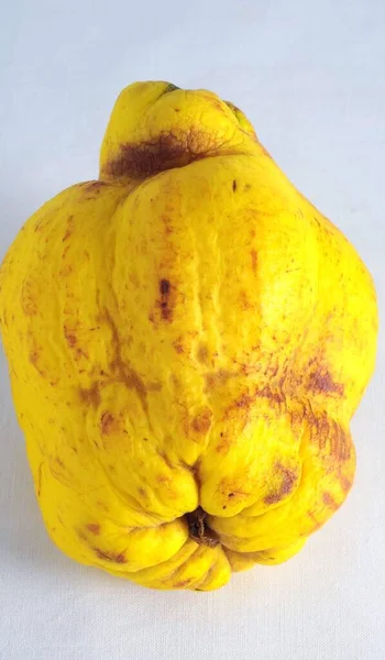 Cedro Sano Muy Maduro Sobre Fondo Blanco —  Fotos de Stock