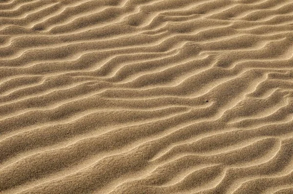 Κυματισμούς Στην Άμμο Φωτογραφία Φόντο — Φωτογραφία Αρχείου