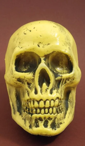 色の背景に古代の黄色の頭蓋骨 — ストック写真