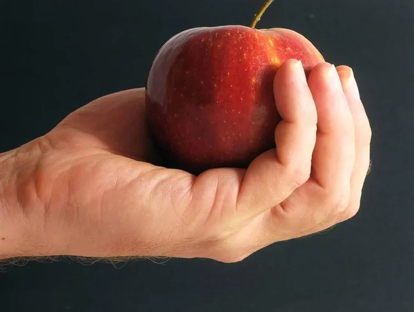 Ein Apfel Auf Der Hand Vor Farbigem Hintergrund — Stockfoto