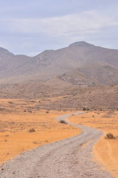 Foto Una Campagna Desert Dirt Path — Foto Stock