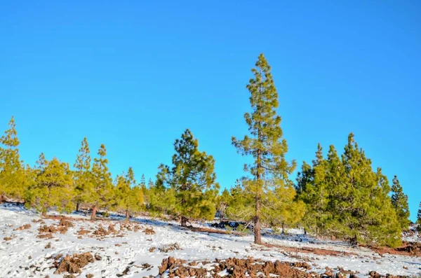 Paesaggio Invernale Sull Alta Montagna — Foto Stock