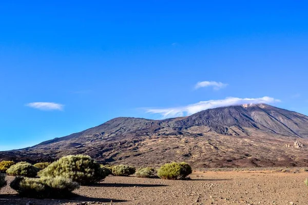 Spanska Utsikten Landskap Tenerfe Tropiska Vulkaniska Kanarieöarna Spanien — Stockfoto