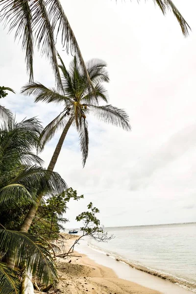 Tropical Beach Sea Photo Background Digital Image — Stock Photo, Image
