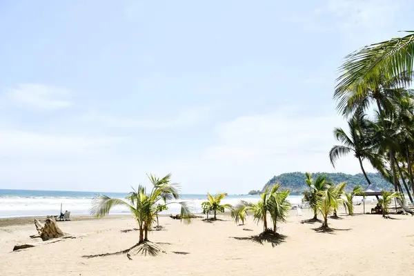 热带海滩 照片为背景 数字图像 — 图库照片