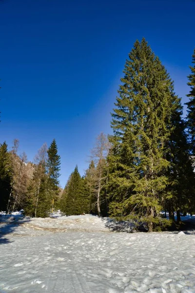 Talvi Vuorilla Valokuva Taustana — kuvapankkivalokuva