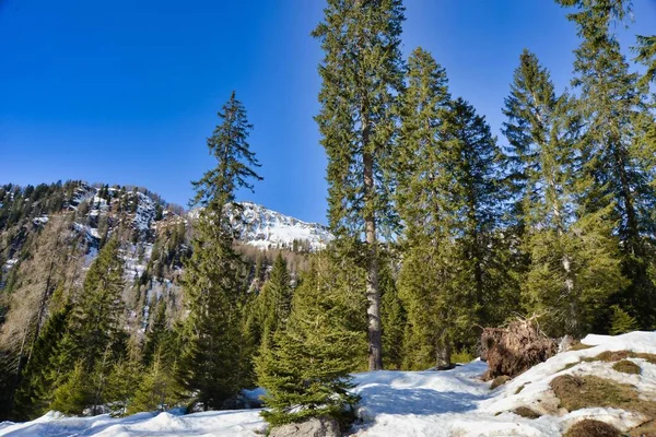 Winter Mountain Landscape Photo Background — Stockfoto