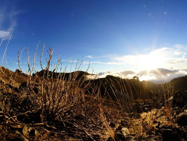 Ökenlandskap Volcan Teide National Park Teneriffa Kanarieöarna Spanien — Stockfoto