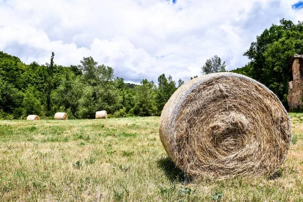 干し草の山 背景としての写真 デジタル画像 — ストック写真