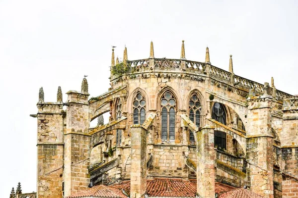 Cathedral Old Town Photo Background Digital Image — Stockfoto