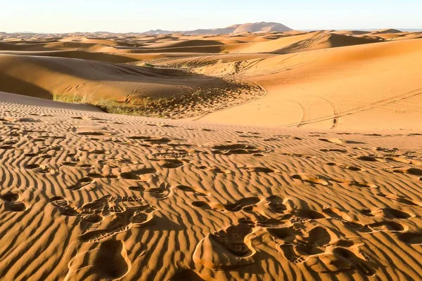 Пейзаж Пустыне Сахара Красивая Фотография Цифровая Фотография — стоковое фото