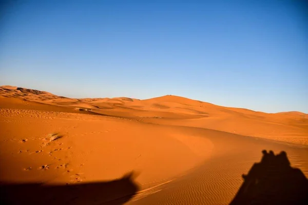 Pôr Sol Deserto Bela Foto Imagem Digital — Fotografia de Stock