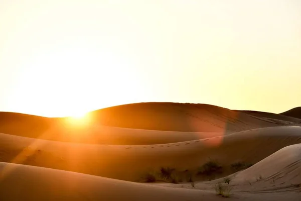 Dune Nel Deserto Bella Foto Foto Digitale — Foto Stock