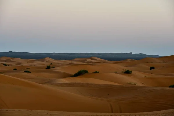 Dűnék Sivatagban Gyönyörű Fotó Digitális Kép — Stock Fotó
