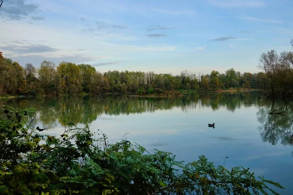 Lago Floresta Foto Como Fundo Imagem Digital — Fotografia de Stock