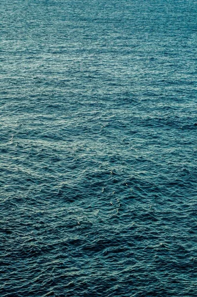 Espanhol Ver Paisagem Nas Ilhas Canárias Vulcânicas Tropicais Espanha — Fotografia de Stock