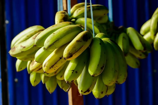Bananenstrauß Schönes Digitales Foto — Stockfoto