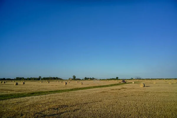 Campo Cielo Blu Bella Foto Foto Digitale — Foto Stock