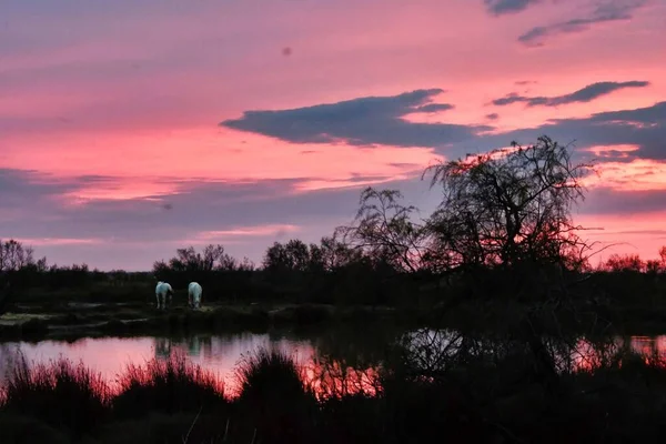 Hermoso Atardecer Sobre Lago —  Fotos de Stock