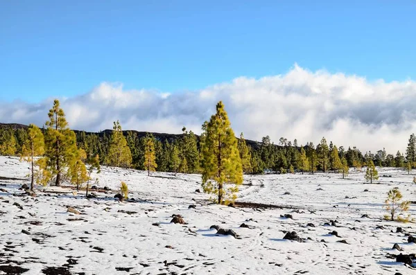 Hermoso Paisaje Con Montañas Cubiertas Nieve — Foto de Stock