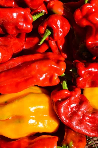 Nahaufnahme Von Frischen Roten Paprika — Stockfoto