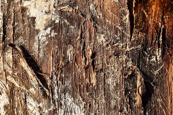 Vecchio Legno Texture Sfondo — Foto Stock